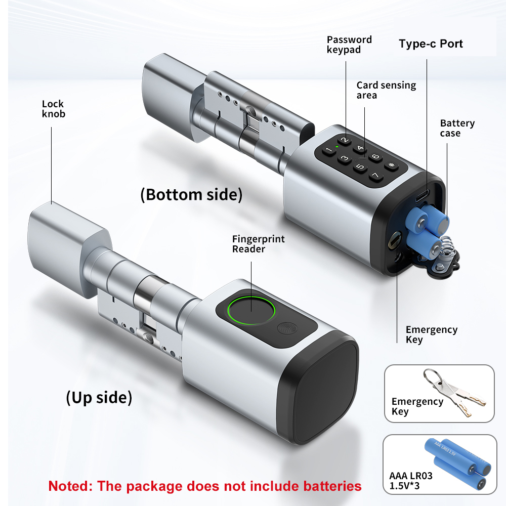 RAYKUBE V1 Tuya BLE TT Kilidi  - Diy Waterproof Electronics incelemesi ve fiyatı